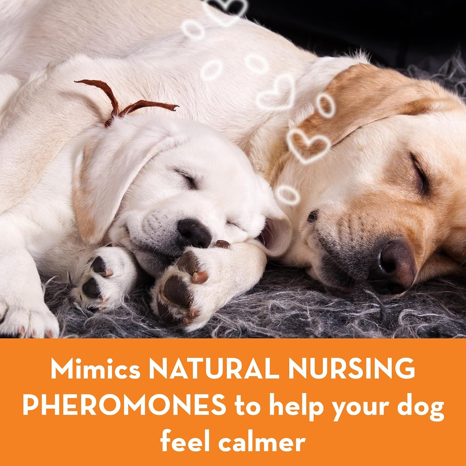 thunderease-calming-collar-for-dogs-large-drug-free-and-easy-to-use-pheromone-collar-for-dogs-easily-clips-on-and-helps-relieve-stress-from-common-triggers