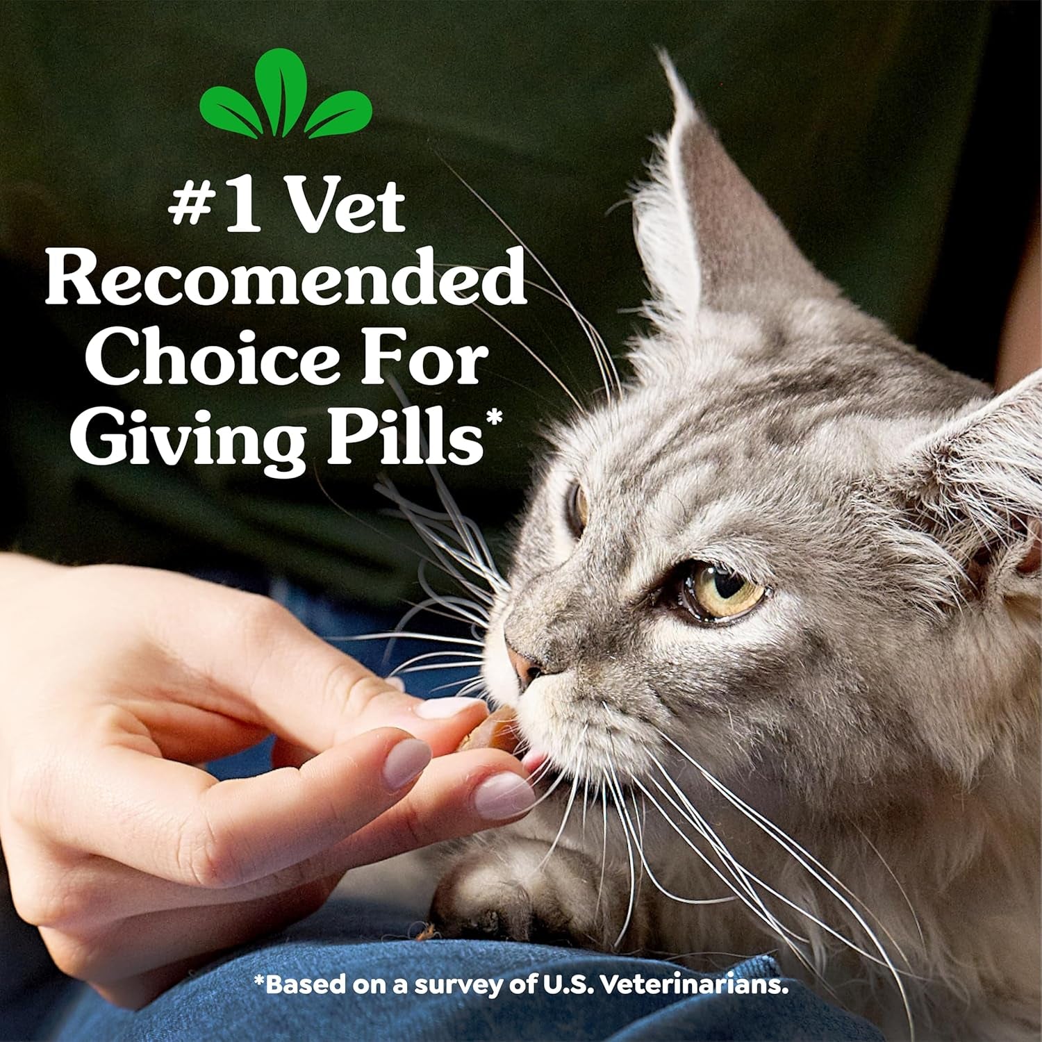 greenies-feline-pill-pockets-soft-cat-treats-chicken-flavor-85-count-1-vet-recommended-moldable-pocket-hides-pills-no-artificial-flavors-or-preservatives-real-ingredients