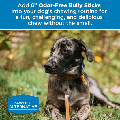 Best Bully Sticks 6 Inch Odor-Free Bully Sticks - 20 Count (Pack of 1) - Bulk Bag, Odorless Natural Grass-Fed Beef, Easily Digestible, No Grain or Rawhide, Ideal for Big Breeds6