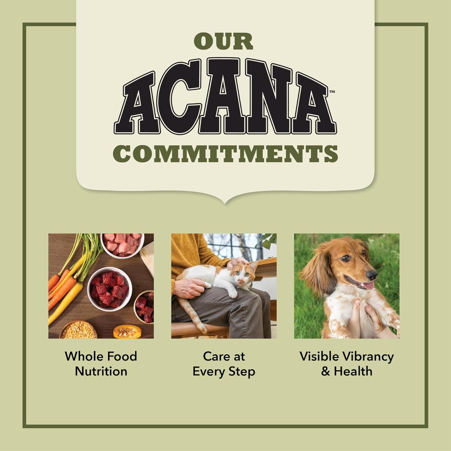 acana-dry-cat-food-for-indoor-cats-indoor-entree-chicken-turkey-4lb-bag-includes-probiotics-digestive-health-weight-management-free-run-poultry-worlds-finest-ingredients