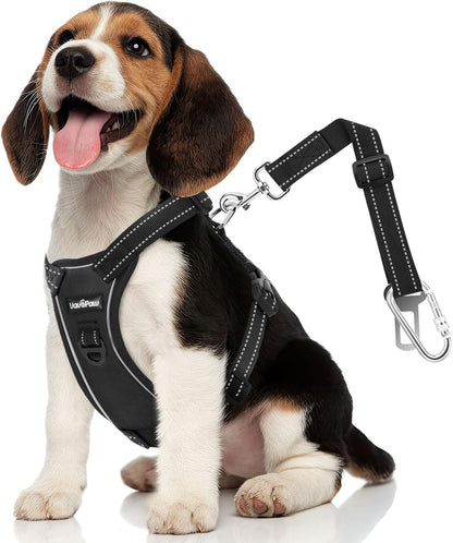 Vavopaw Dog Seat Belt Vest Harness for Car,2 in 1 Seatbelt Buckle | Soft Breathable Mesh,Adjustable Buckle,Nylon,Heavy Duty Pet Safety Seat Belts for Small Medium Large Pets,Black,L20