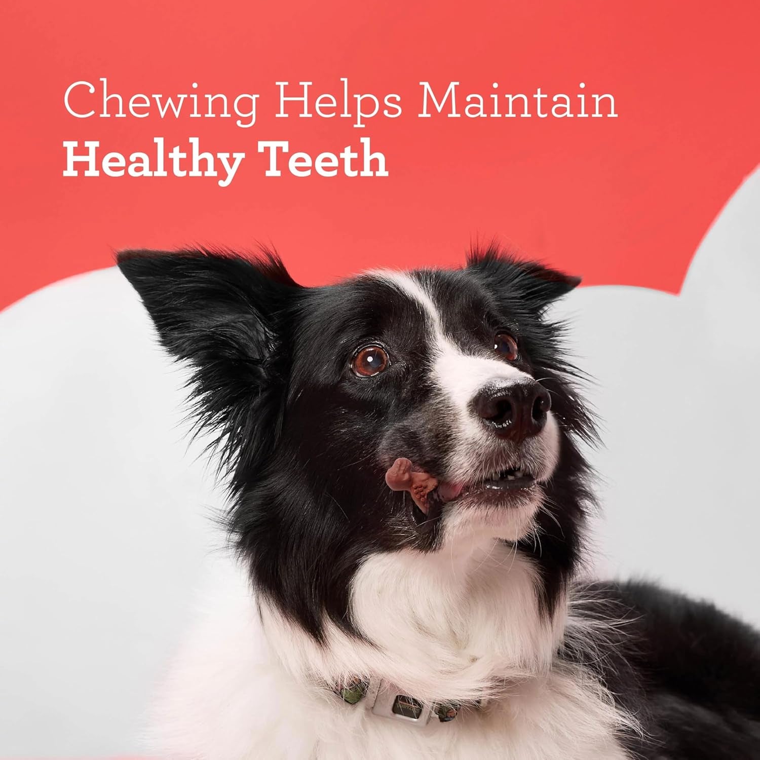 dreambone-chicken-dinochews-dog-treats-daily-rawhide-free-chew-digests-safely-and-completely-with-real-protein-chicken-and-veggies-14-count