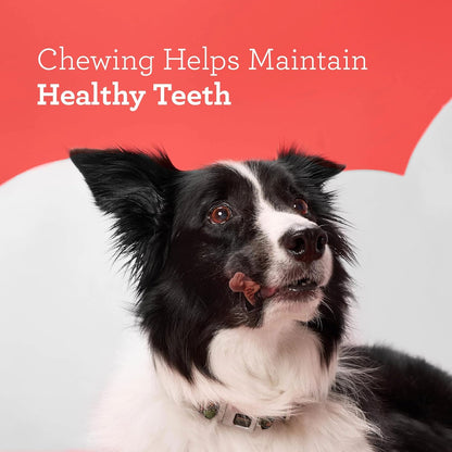 Dreambone Chicken Dinochews Dog Treats, Daily Rawhide-Free Chew, Digests Safely and Completely, with Real Protein, Chicken and Veggies, 14 Count9