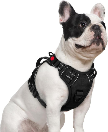 Rabbitgoo Large Dog Harness, Easy Wear with 3 Buckles and Lift Handle | No Pull with Front Clip for Walking, Adjustable Soft Padded, Reflective, Easy Control, Pink, Large31
