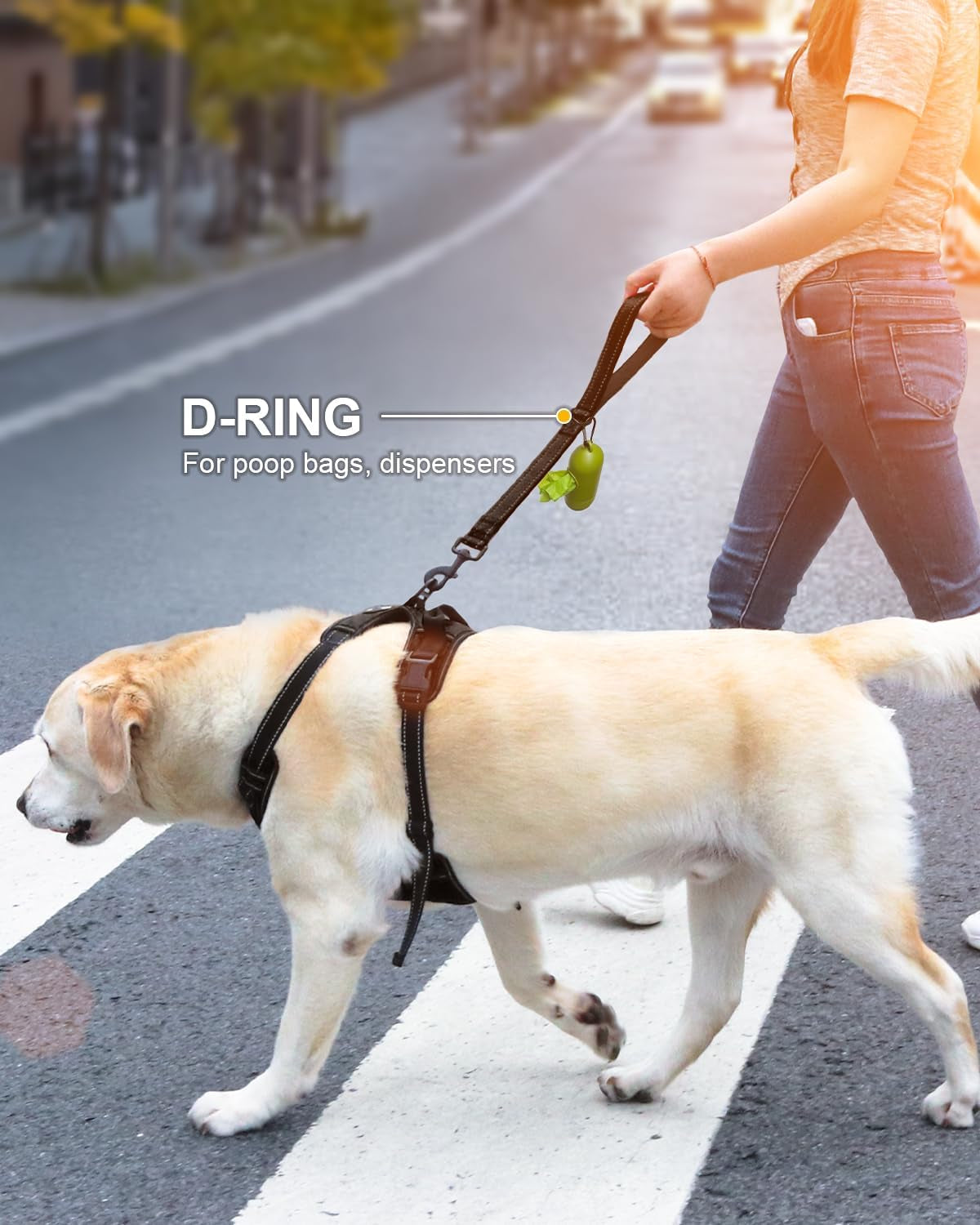 joytale-short-dog-leash-for-close-control-training-18-black-padded-comfort-handle-reinforced-nylon-webbing-secure-metal-clip-for-busy-streets-heel-training