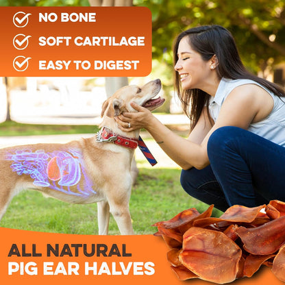 BRUTUS & BARNABY Whole Pig Ears for Dogs, 12 Ct. – All-Natural Single Ingredient Dog Chews, Slow Cooked & Fully Digestible Rawhide Alternative7