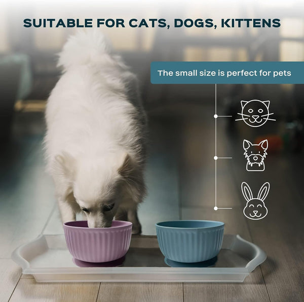 Cat Bowls with Suction Cup 13 Oz — Elevated Silicone Pet Dish with Non-Slip Bottom for Dry Food, Wet Food and Water (Light Grey)6