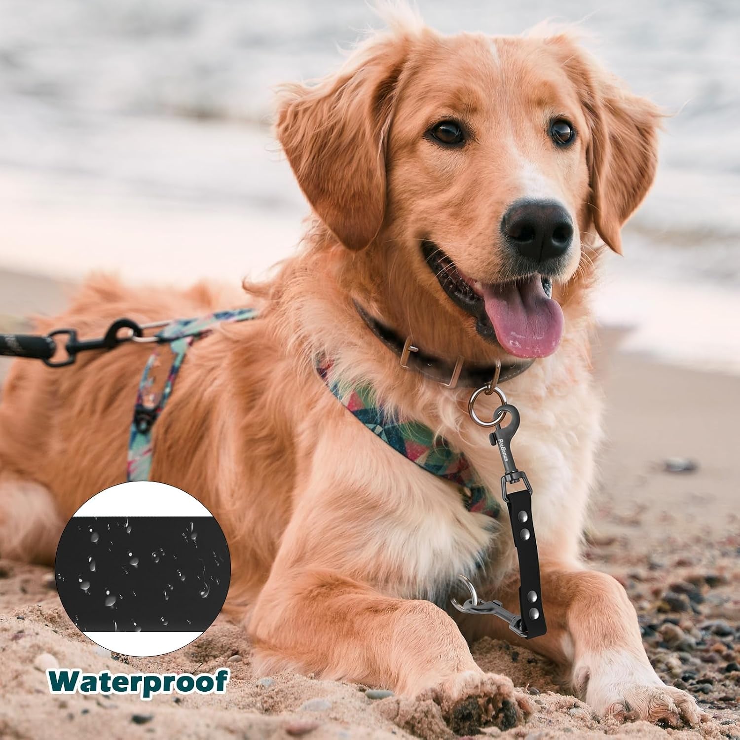 petbonus-waterproof-dog-collar-safety-clip-odor-proof-backup-safety-clip-for-harness-prong-standard-collars-heavy-duty-double-ended-clasp-durable-dog-leash-connector-for-training-walking-black