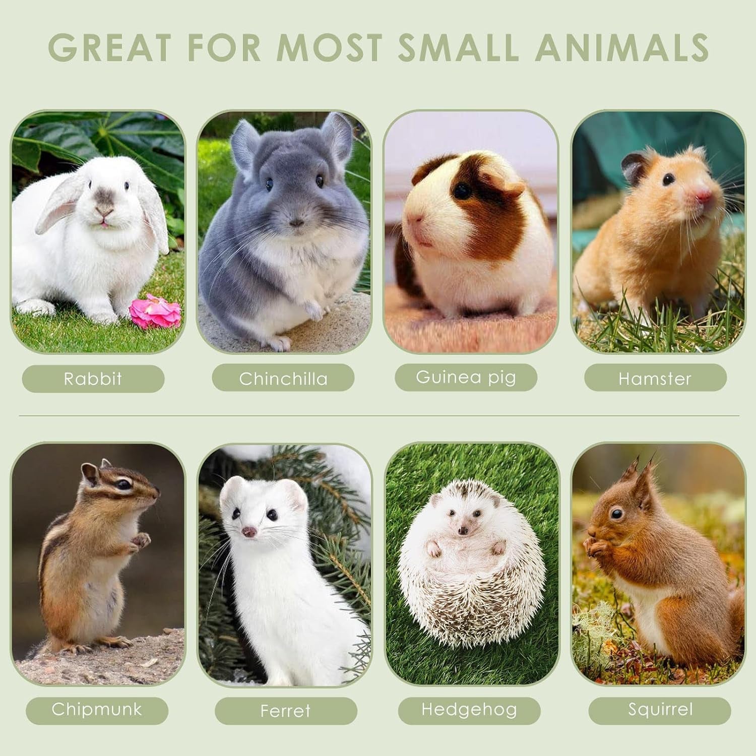 erkoon-chinchilla-treats-chew-toys-for-teeth-for-rabbit-guinea-pig-gerbil-rat-dwarf-hamstersmall-size