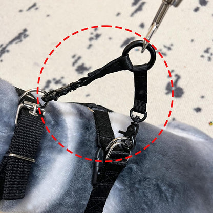 Double Clip Dog Leash for Two Dogs,Double Headed Hook Pet Safety 2 Way Coupler with Nickel Plated Swivel Clip3