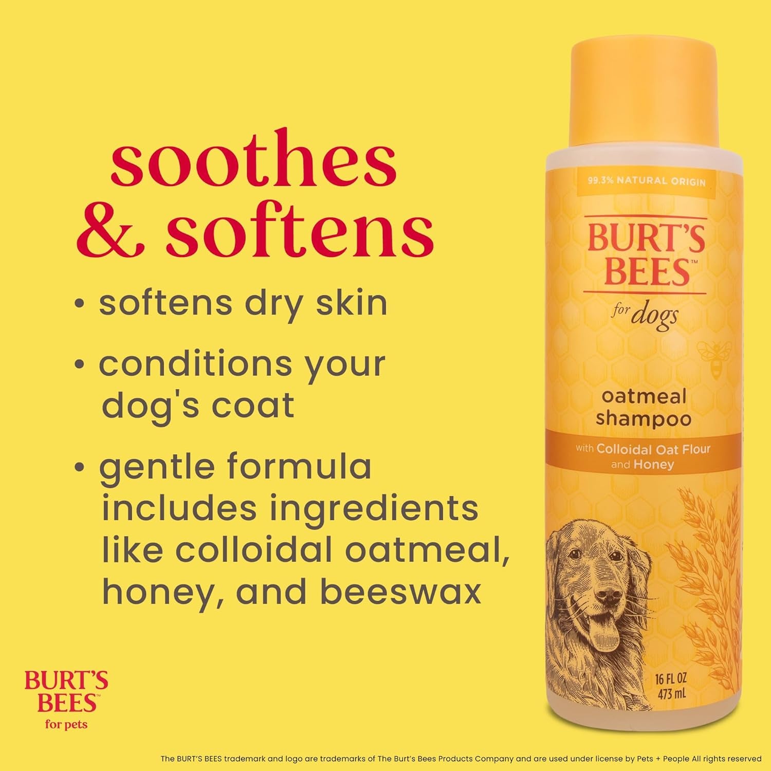 burts-bees-for-pets-oatmeal-dog-shampoo-with-honey-unscented-16-fl-oz-soothing-colloidal-oat-flour-formula-for-itchy-sensitive-dog-skin-ph-balanced-and-sulfate-free-for-regular-use