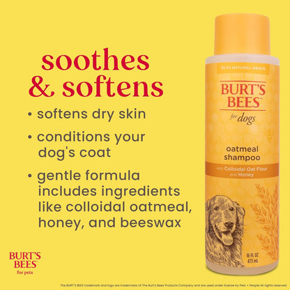 Burts Bees for Pets Oatmeal Dog Shampoo with Honey, Unscented, 16 Fl Oz | Soothing Colloidal Oat Flour Formula for Itchy, Sensitive Dog Skin; Ph-Balanced and Sulfate-Free for Regular Use3