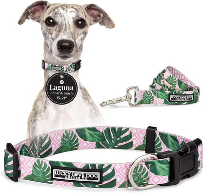 Lucky Love Dog - Easy Click Buckle Dog Collar with Leash Set Combo, Durable & Comfortable for Male & Female Dogs, Pet Collar for Medium Dogs, Secure Fit - Blackbird Combo, Medium101
