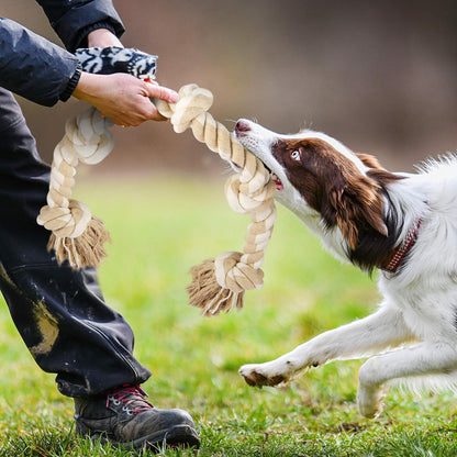 Fida Dog Rope Toys for Large/Medium Aggressive Chewers, Tough Cotton Chew Toy, 3 Feet 5 Knots Indestructible, Tug of War Dog Pull Rope Teeth Cleaning7