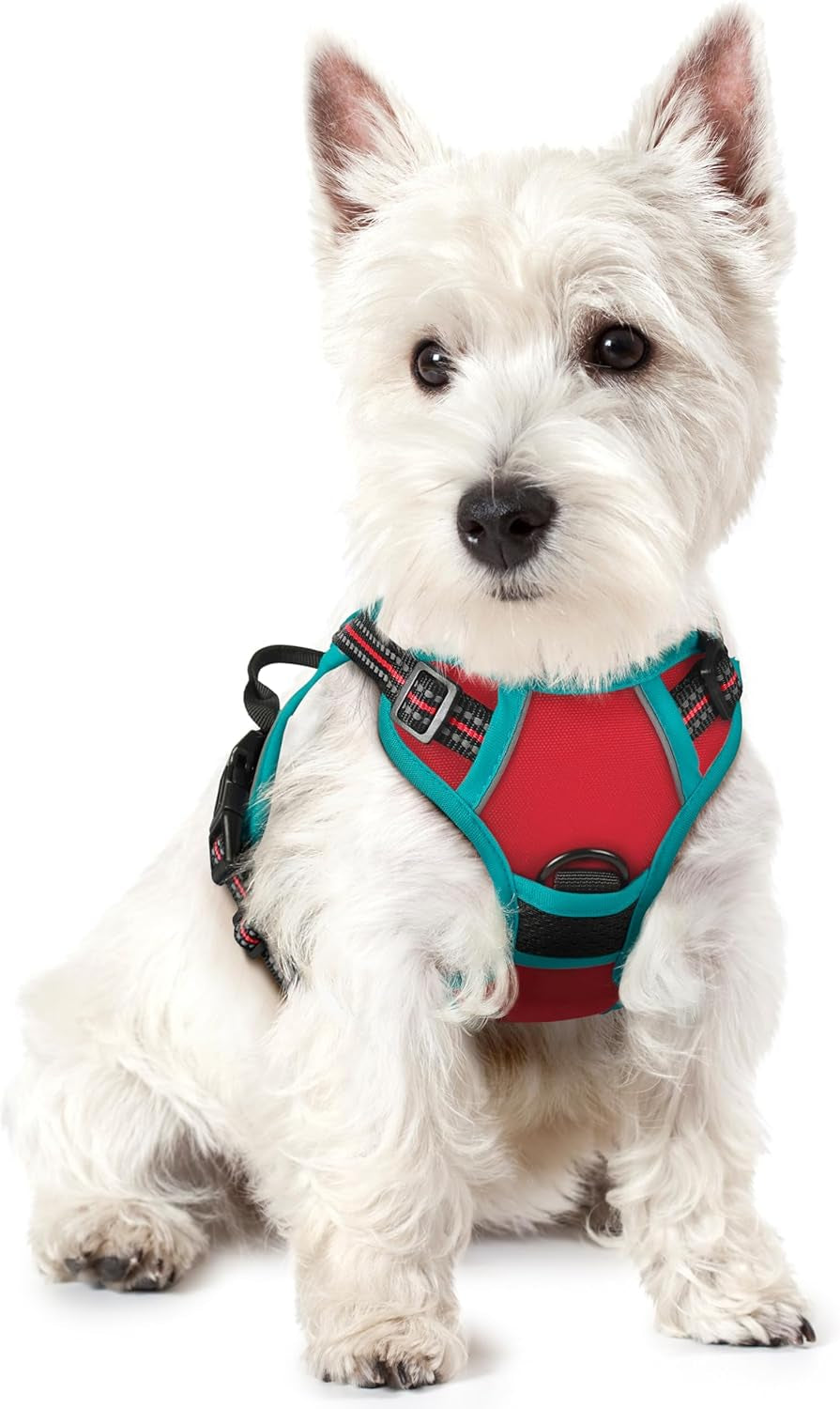 rabbitgoo-dog-harness-no-pull-for-large-dogs-with-2-leash-clips-pet-vest-no-choke-with-handle-adjustable-soft-padded-reflective-easy-control-for-walking-black-large