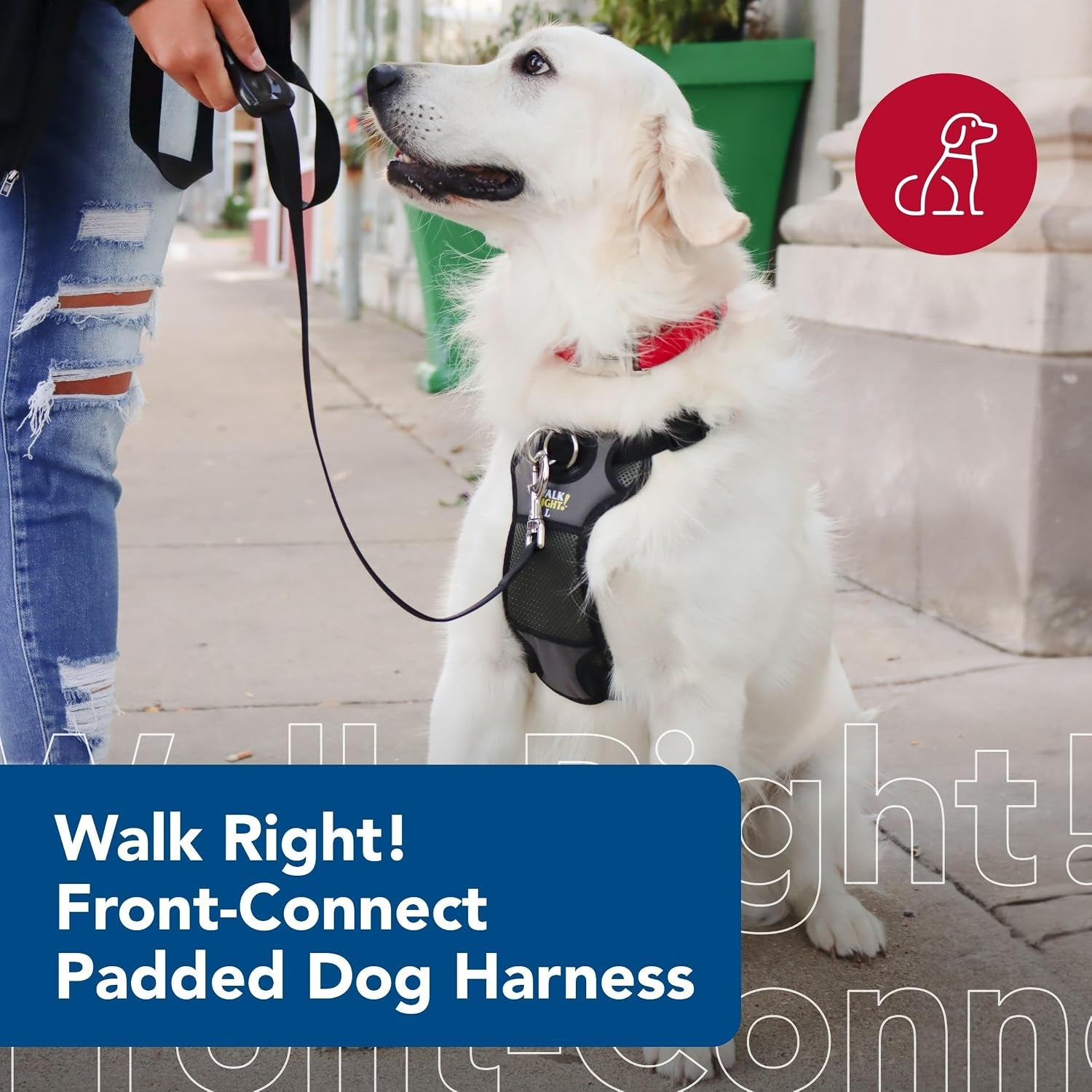 coastal-pet-walk-right-front-connect-no-pull-padded-dog-harness-adjustable-comfortable-dog-harness-small-large-breed-fit-quality-pet-supplies-black-lrg-26-38