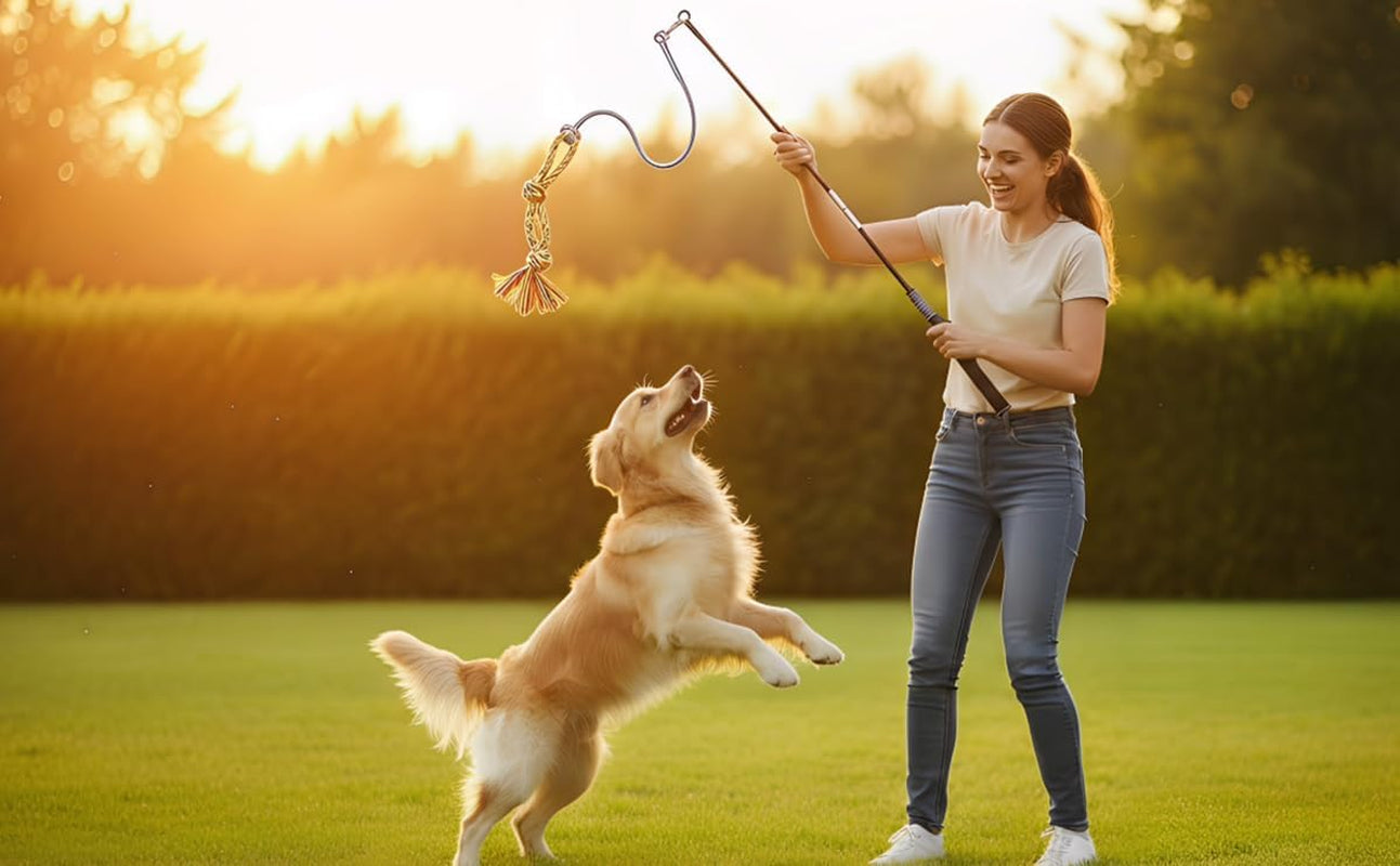 flirt-pole-for-dogs-interactive-chase-toy-for-large-medium-small-puppy-dogs-for-chase-and-tug-of-war-dog-teaser-wand-with-lure-chewing-toy-for-outdoor-exercise-training-easy-to-use-carry-sturdy