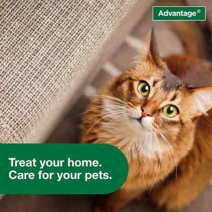 Advantage Carpet & Upholstery Spot Spray | Kills Fleas & Ticks & Bedbugs | 16 Oz.8