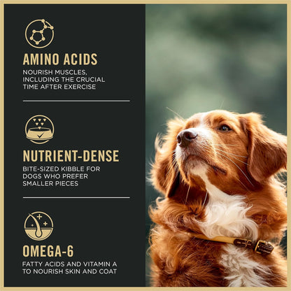 Purina Pro Plan High Protein Dog Food, Small Bites, SPORT 27/17 Lamb and Rice Formula - 37.5 Lb. Bag3