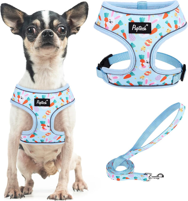 PUPTECK Soft Mesh Dog Harness Small Sized and Leash Set Pet Puppy Cat Comfort Padded Vest No Pull Harnesses, Beige, S70