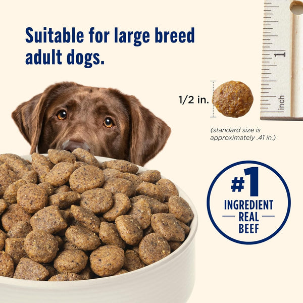Nutrish Large Breed Dry Dog Food with Beef, 40 Lb. Bag (Rachael Ray) | Pea, Carrot & Brown Rice Recipe, Made with Real Protein to Support Lean Muscle Mass & Healthy Organs6