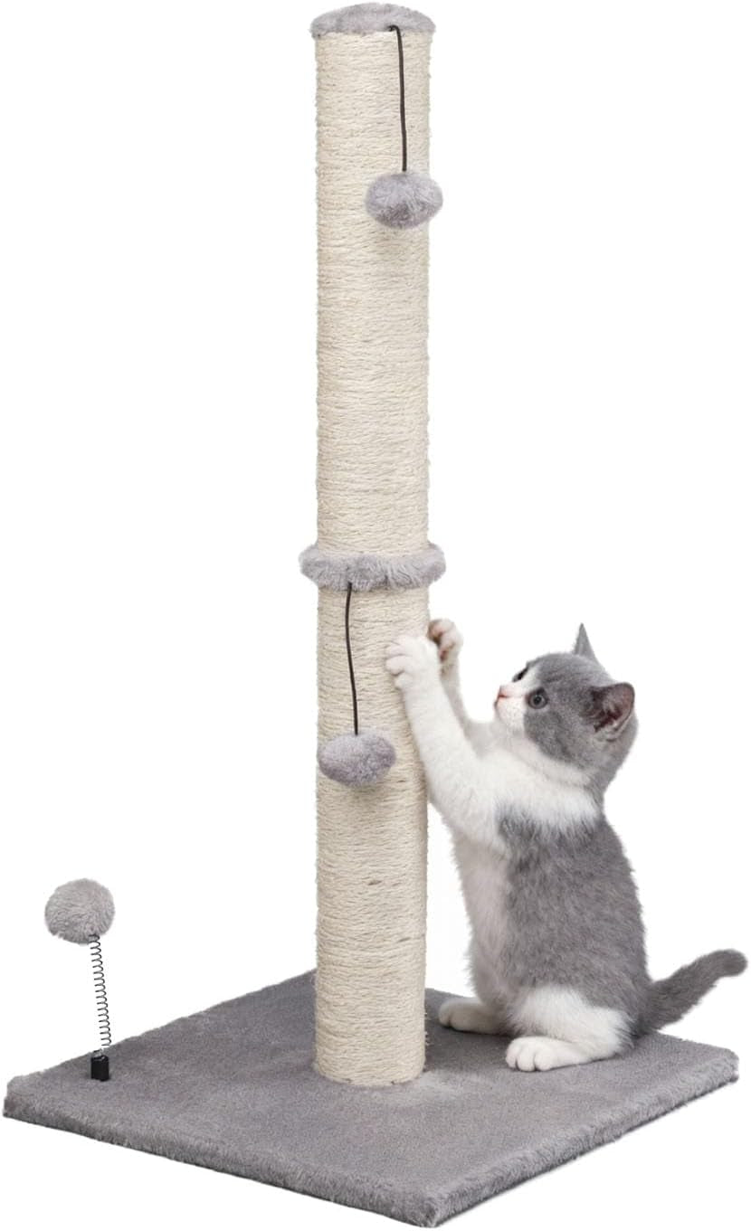 mecool-cat-scratching-post-premium-basics-kitten-scratcher-sisal-scratch-posts-with-hanging-ball-22in-for-kittens-or-smaller-cats-22-inches-for-kitten-beige