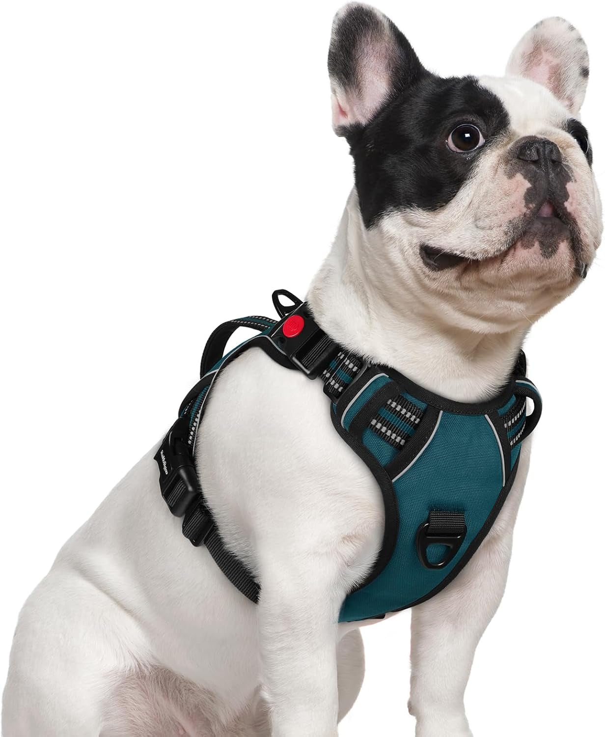 rabbitgoo-large-dog-harness-easy-wear-with-3-buckles-and-lift-handle-no-pull-with-front-clip-for-walking-adjustable-soft-padded-reflective-easy-control-pink-large