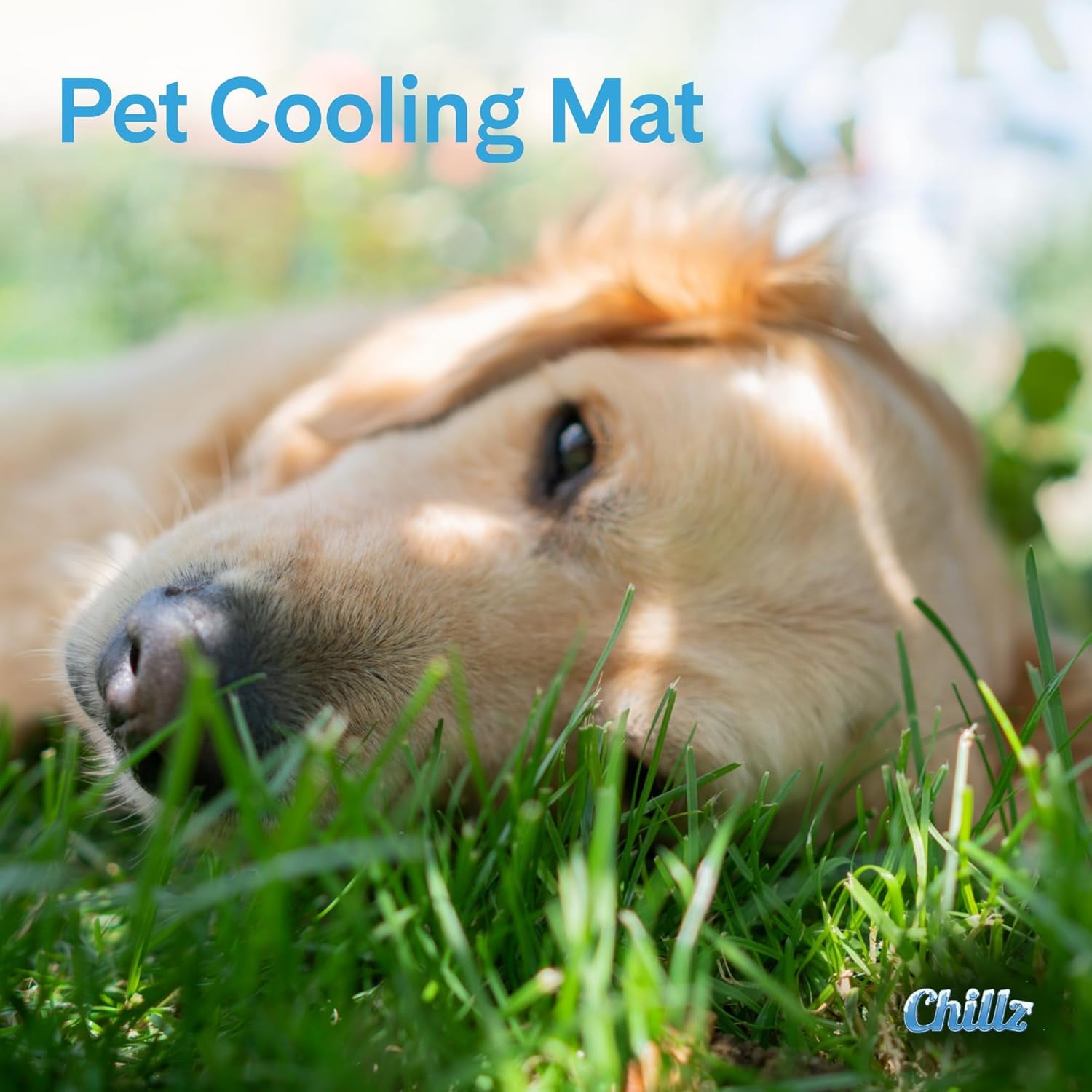 the-green-pet-shop-chillz-gel-mat-large-pressure-activated-cooling-pad-for-pets-25-50-lbs-non-toxic-no-water-or-refrigeration-needed-ideal-for-home-travel-crates