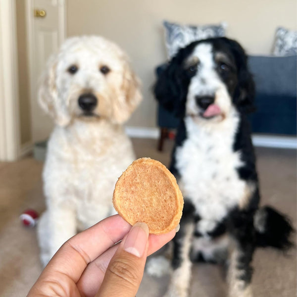 Farm to Pet - Dog Training Treats - Chicken Chips, Single Ingredient - 12 Oz, Lean, All Natural, Healthy Dog Treats for Small, Medium, Large Breeds, & Puppies, Made in USA6