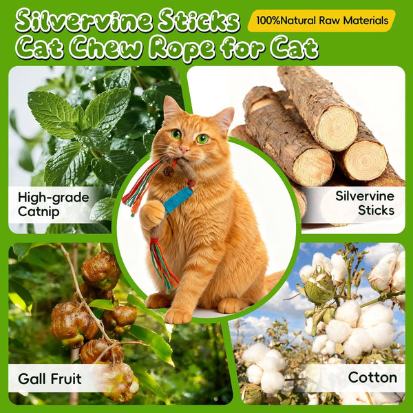 Silvervine Sticks for Cats & Cat Chew Rope Toys for Indoor Cats Dental Care Teeth Cleaning, Kitten & Cat Teething Toys for Health, Cat Chew Stick Suitable for All Breeds of Aggressive Chewers Cat2