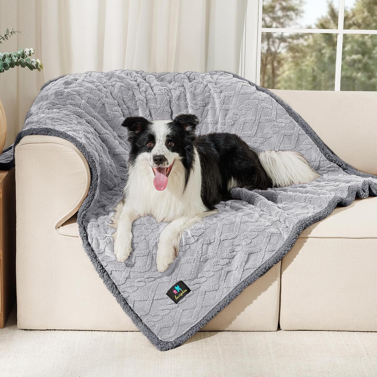 luciphia-waterproof-pet-blanket-liquid-pee-proof-dog-blankets-for-sofa-bed-couch-reversible-sherpa-fleece-furniture-protector-cover-for-small-medium-large-dogs-cats-khaki-small-40-x-28