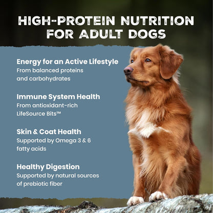 Blue Buffalo Wilderness Chicken Adult Dry Dog Food with Wholesome Grains + Antioxidant-Rich Fruits & Veggies, 39G Protein, Vibrant Energy for an Active Life, Made with Natural Ingredients, 28 Lbs.3