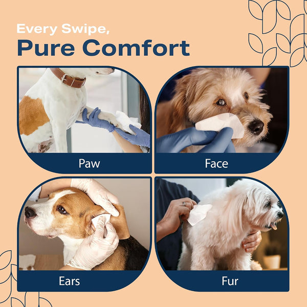 REFRESHIFY Dog Wipes for Paws and Butt - Plant Based Unscented (Pack of 400) - Pet Wipes for Dogs and Cats - Deodorizing Non Toxic Dog Wipes, +12 Additional Travel Wipes5