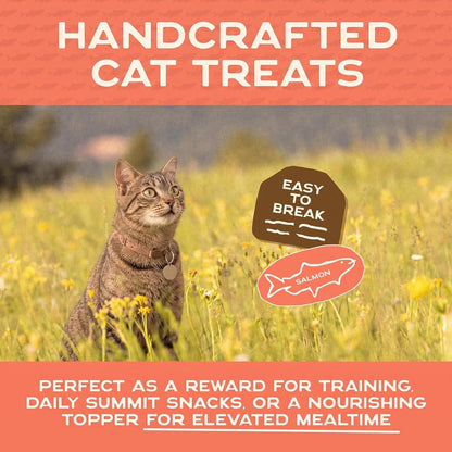 Smart Cookie Salmon Jerky Cat Treats – Real Salmon & Flaxseed, Omega-3S for Skin & Coat, Grain Free, High Protein, Handcrafted Natural Treat – Made in the USA (Pack of 1)7