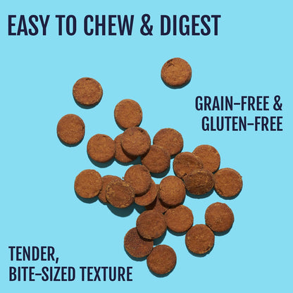 Snif-Snax Salmon Bites Dog Treats 3 Pack, All Natural Human-Grade Training Treats for Dogs, Healthy Grain-Free Puppy & Adult Rewards, Protein Rich Soft Salmon Snacks3