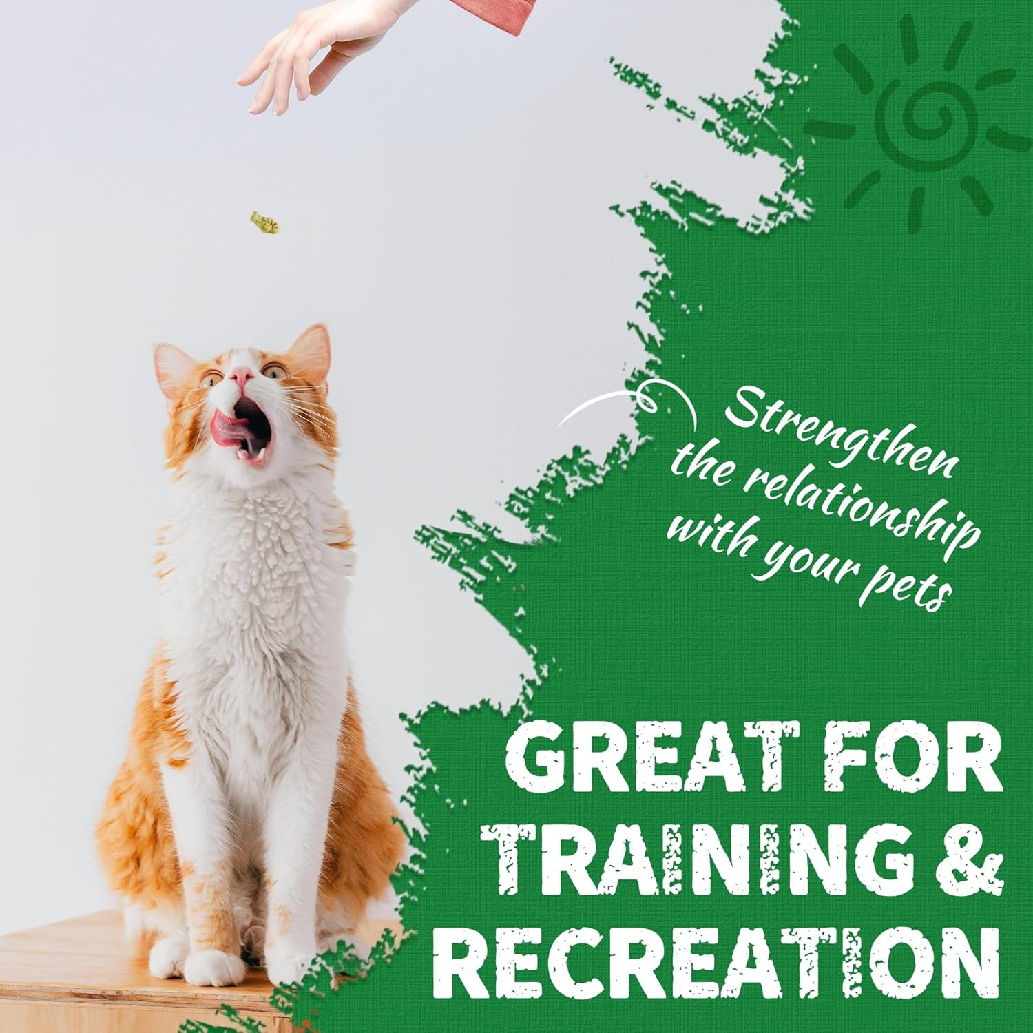 just-try-cat-treats-for-indoor-cats-hairball-control-natural-salmon-healthy-cat-grass-treats-kitten-snacks-training-biscuits-catnip-for-cats-dental-care-13-4-oz