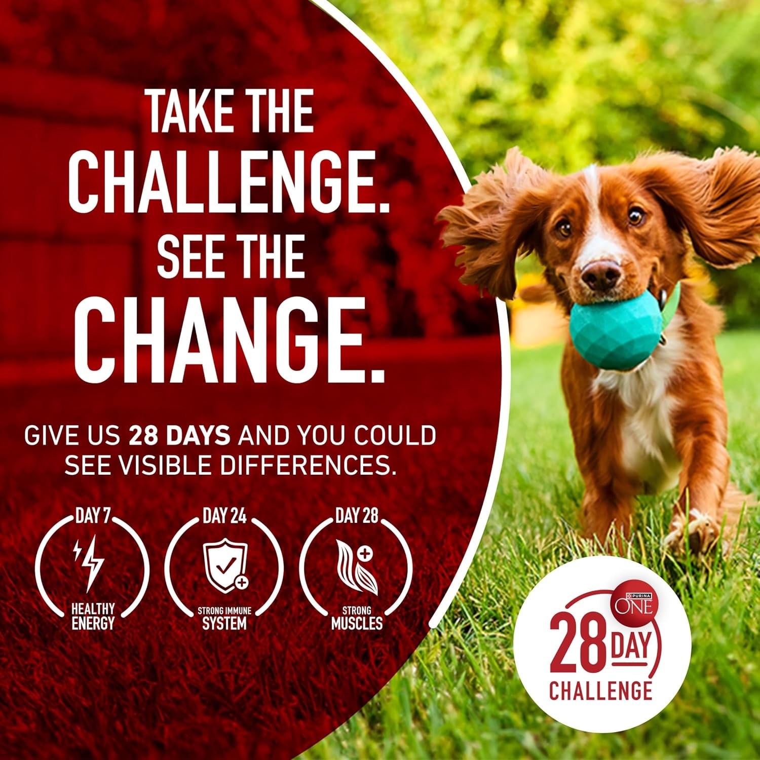 purina-one-natural-sensitive-stomach-dry-dog-food-plus-skin-coat-formula-31-1-lb-bag