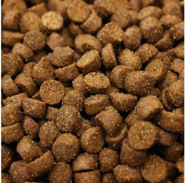 Higgins Pet Food Intune Ferret 4Lb2
