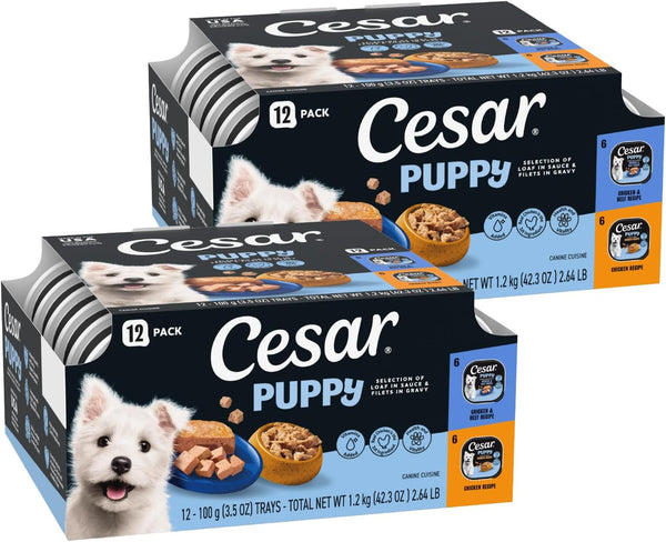 Cesar Puppy Classic Loaf Wet Dog Food, Chicken & Beef, 3.5 Oz, 24 Count | Real Chicken #1 Ingredient, Made in USA, No Fillers or Artificial Flavors, Essential Nutrients, Slow-Cooked, Easy Peel Trays12