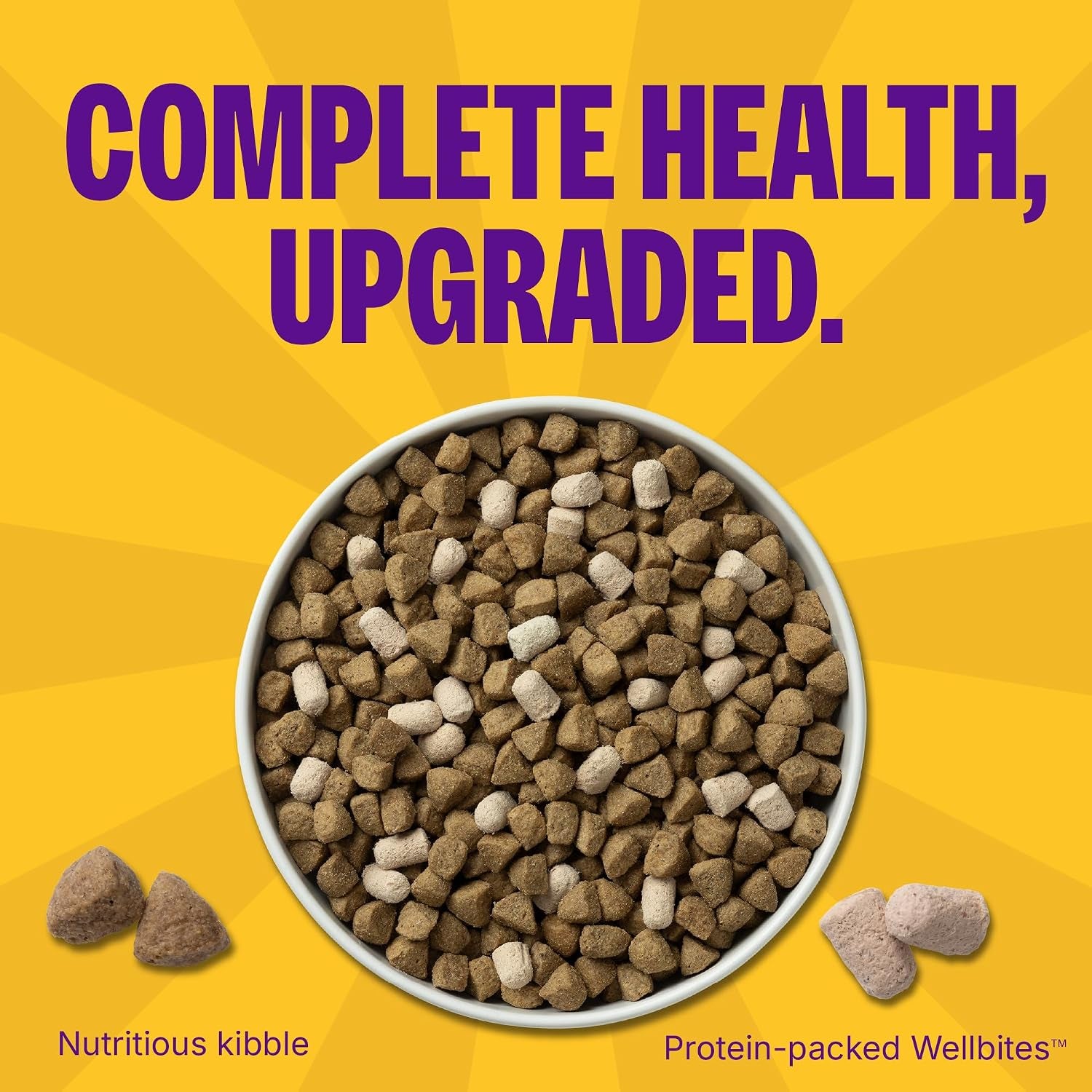 wellness-complete-health-adult-dry-dog-food-with-freeze-dried-wellbites-wholesome-grain-kibble-natural-chicken-and-oatmeal-recipe-4-lb-bag