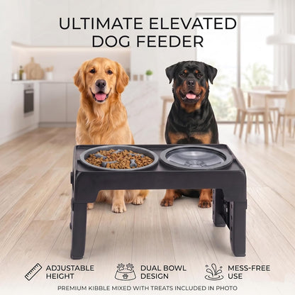 LALOBLUE Collapsible Dog Bowls Raised Elevated Adjust Stand | Elevated Dog Bowls, Dog Bowls Raised, Dog Bowls Elevated,5 Heights Adjustable Elevated Raised Dog Bowls Stand7