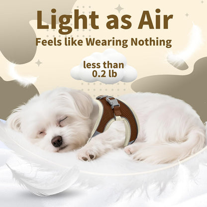 AIITLE No Pull Dog Harness and Leash Set, Step in Adjustable Dog Harness with Padded Vest for All Weather, Dog Leash with Soft Padded Handle, Easy to Put on Small and Medium Dogs Beige S8