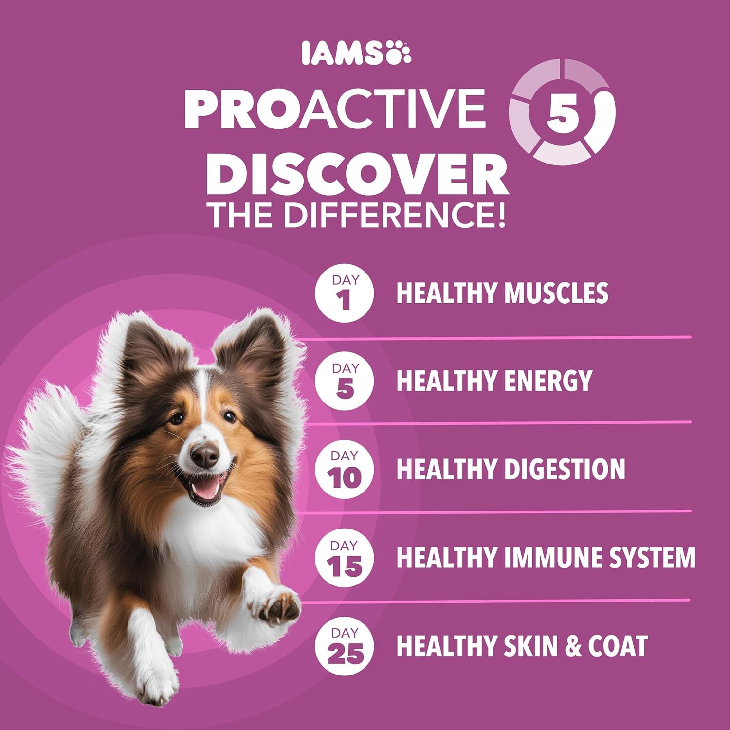 iams-proactive-health-healthy-aging-dry-dog-food-chicken-29-1-lb-veterinarian-recommended-dha-gold-for-mental-visual-sharpness-vitamin-e-beta-carotene-real-chicken-1-ingredient