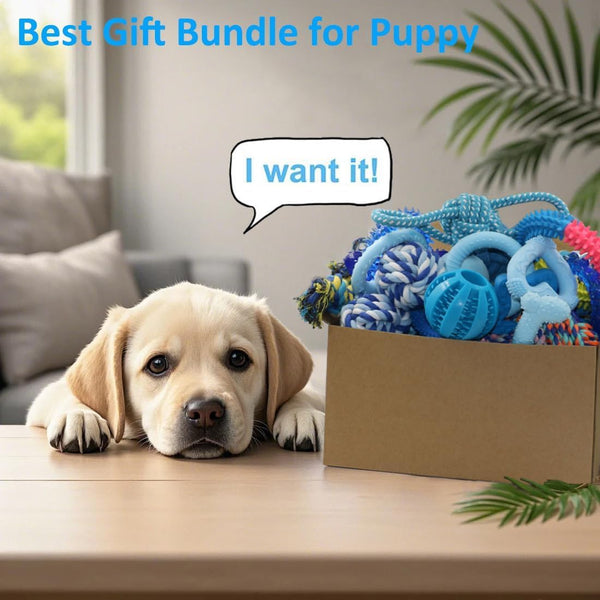 Beiker 20 Pack Puppy Chew Toys - Blue Dog Teething Toys for Puppies, Puppy Teething Rings and Ropes, Rubber Toy Bundle for Small Dogs, Cute Interactive Dog Balls for Small Breed6