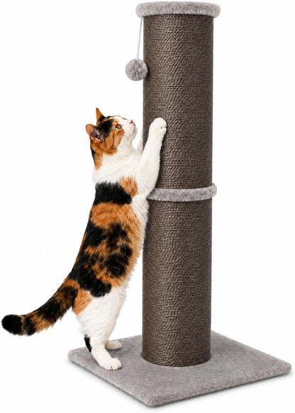 PAWSCRAT 32-Inch Tall Cat Scratching Post, 5.5-Inch Diameter, Sisal, Beige | Natural Sisal Scratching Surface with a Dangling Ball for Indoor Cats, Scratch-Resistant Durable and Protect Your Furniture12