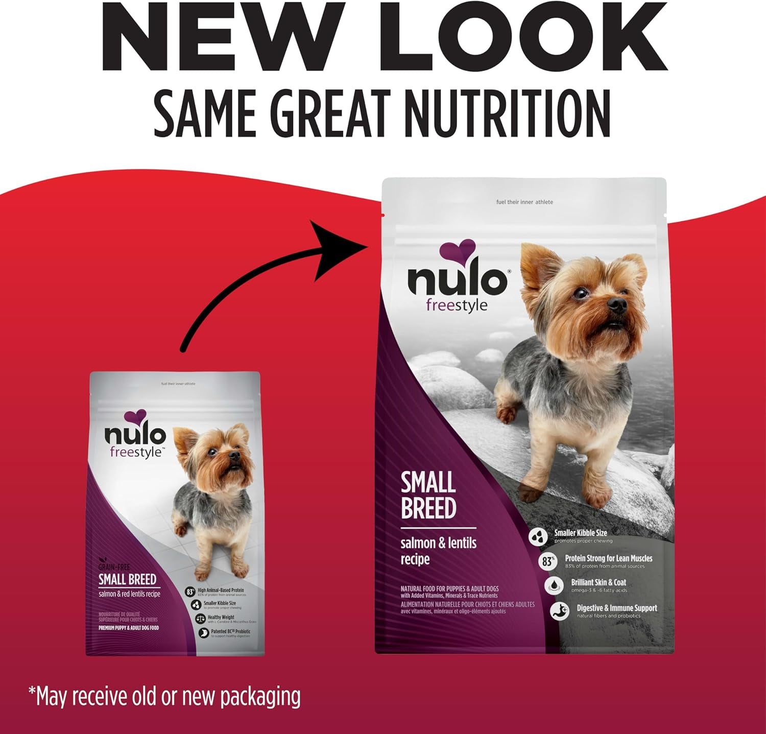 nulo-freestyle-small-breed-dog-food-dry-salmon-lentils-puppy-adult-grain-free-dog-food-natural-high-protein-smaller-sized-kibble-with-bc30-probiotic-for-healthy-digestion-support-6lb-bag