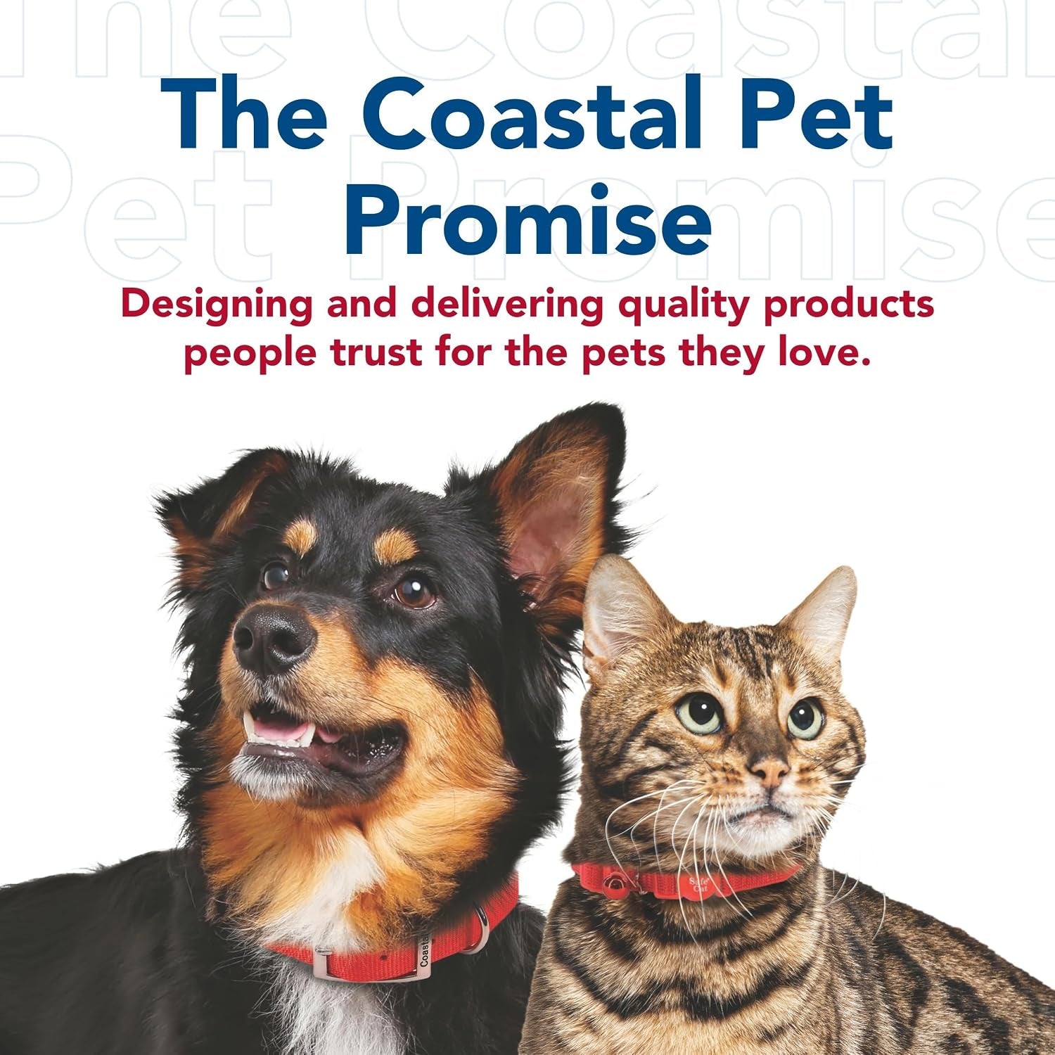 coastal-pet-walk-right-front-connect-no-pull-padded-dog-harness-adjustable-comfortable-dog-harness-small-large-breed-fit-quality-pet-supplies-black-lrg-26-38