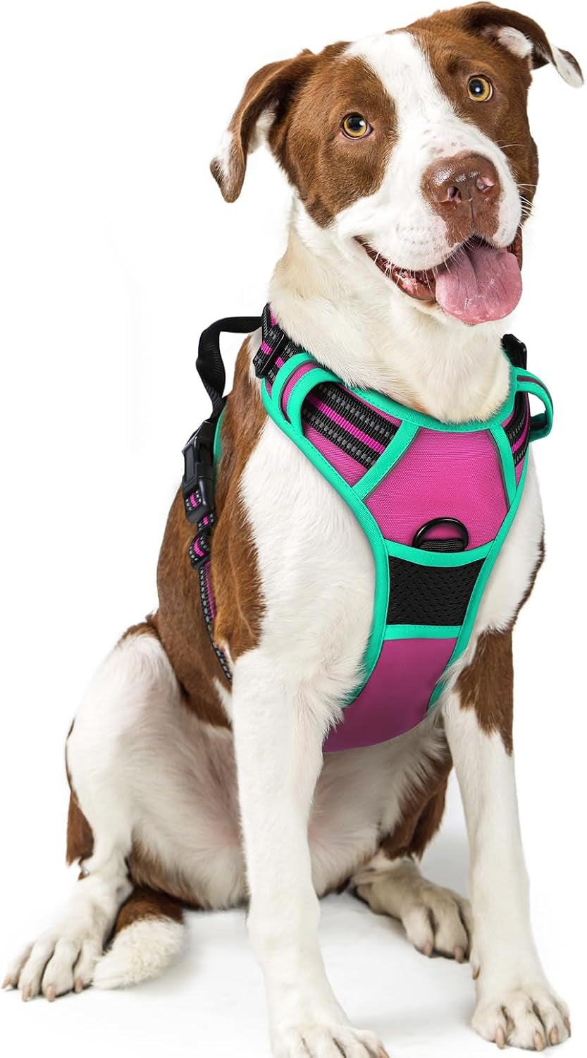 rabbitgoo-dog-harness-no-pull-for-large-dogs-with-2-leash-clips-pet-vest-no-choke-with-handle-adjustable-soft-padded-reflective-easy-control-for-walking-black-large