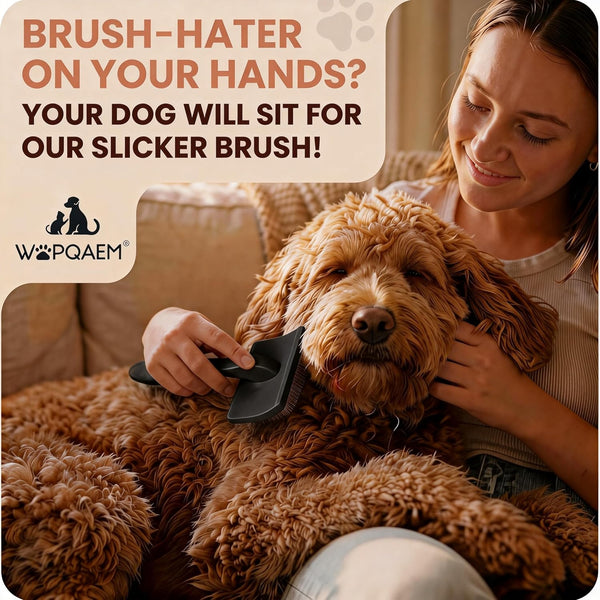 Wooden Long Pin Slicker Brush for Dogs, Doodles, Poodles, Long Hair | Grooming, Detangling, and Fluffing for Wavy and Curly Hair—Designed for Heavy, Thick Coats to Prevent Matting at Home7