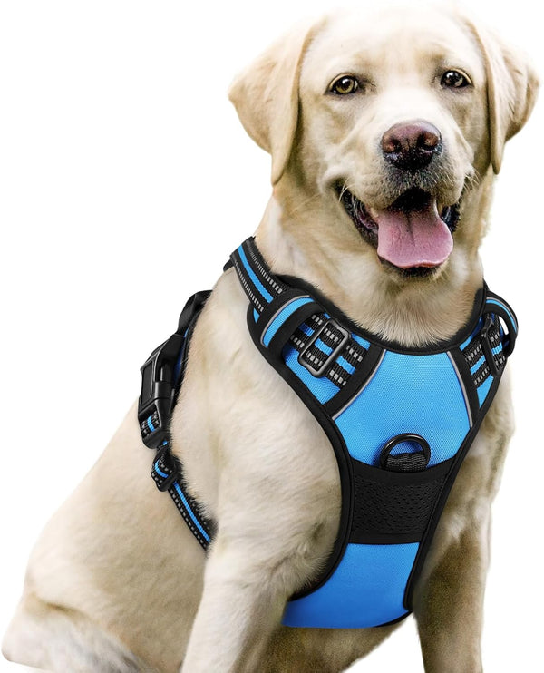 Rabbitgoo Dog Harness, No Pull for Large Dogs with 2 Leash Clips, Pet Vest | No Choke with Handle, Adjustable Soft Padded, Reflective, Easy Control for Walking, Black, Large101
